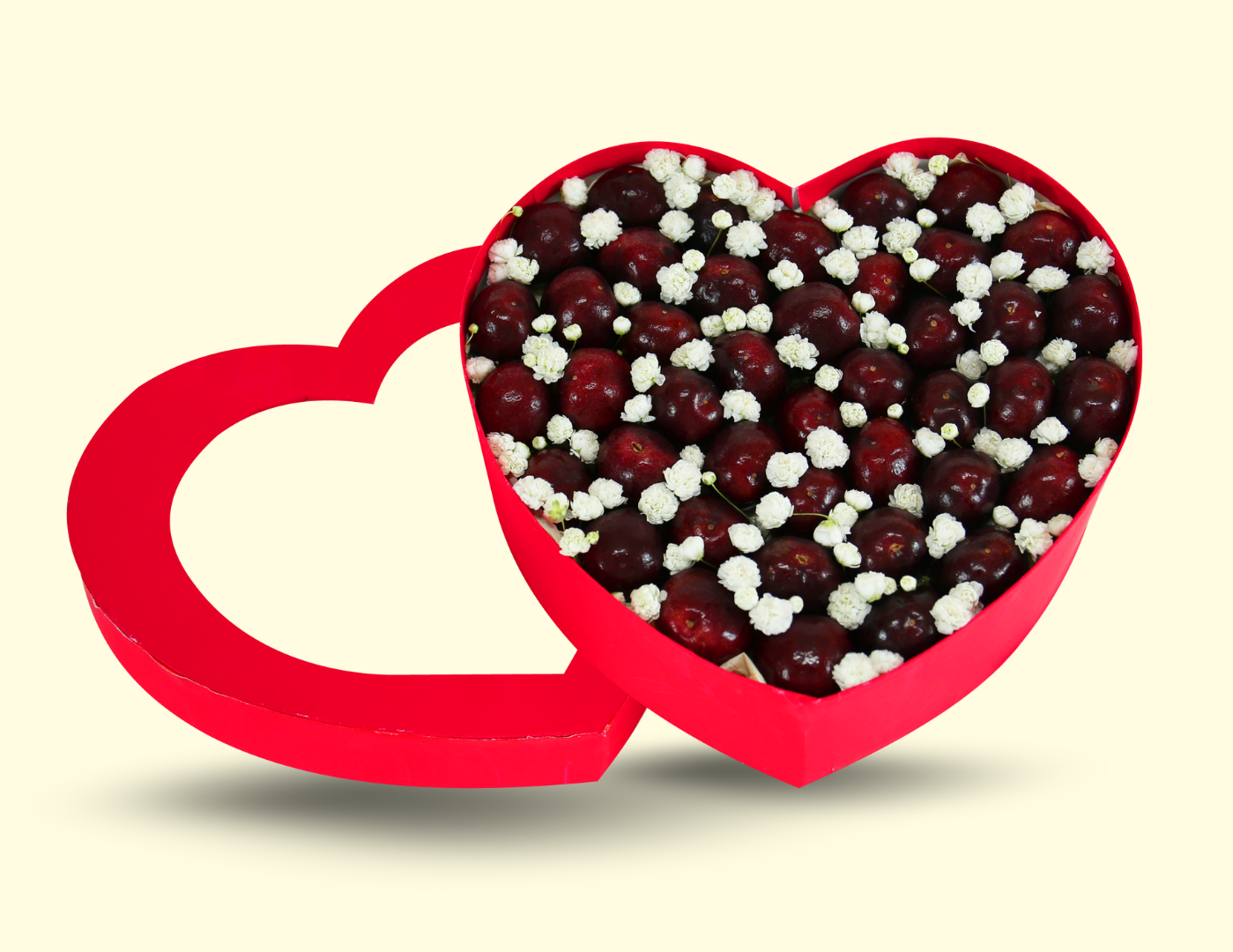 TERRISA Signature Heart-Shaped Box