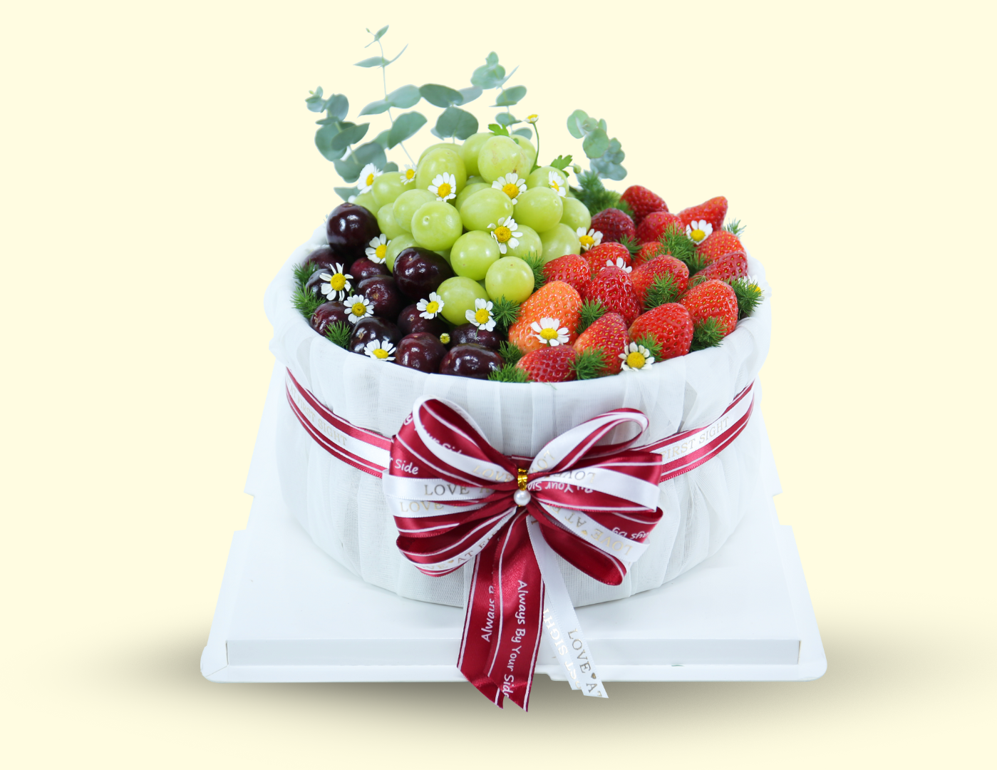 TERRISA Signature Cake Box Base