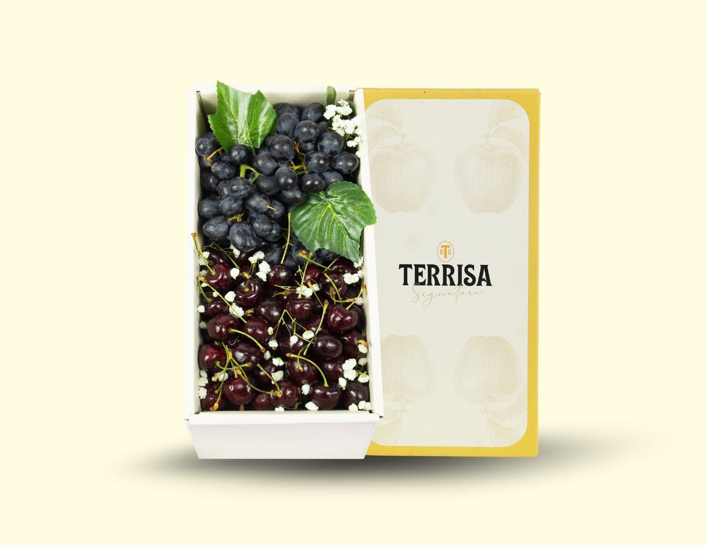 TERRISA Signature size S 