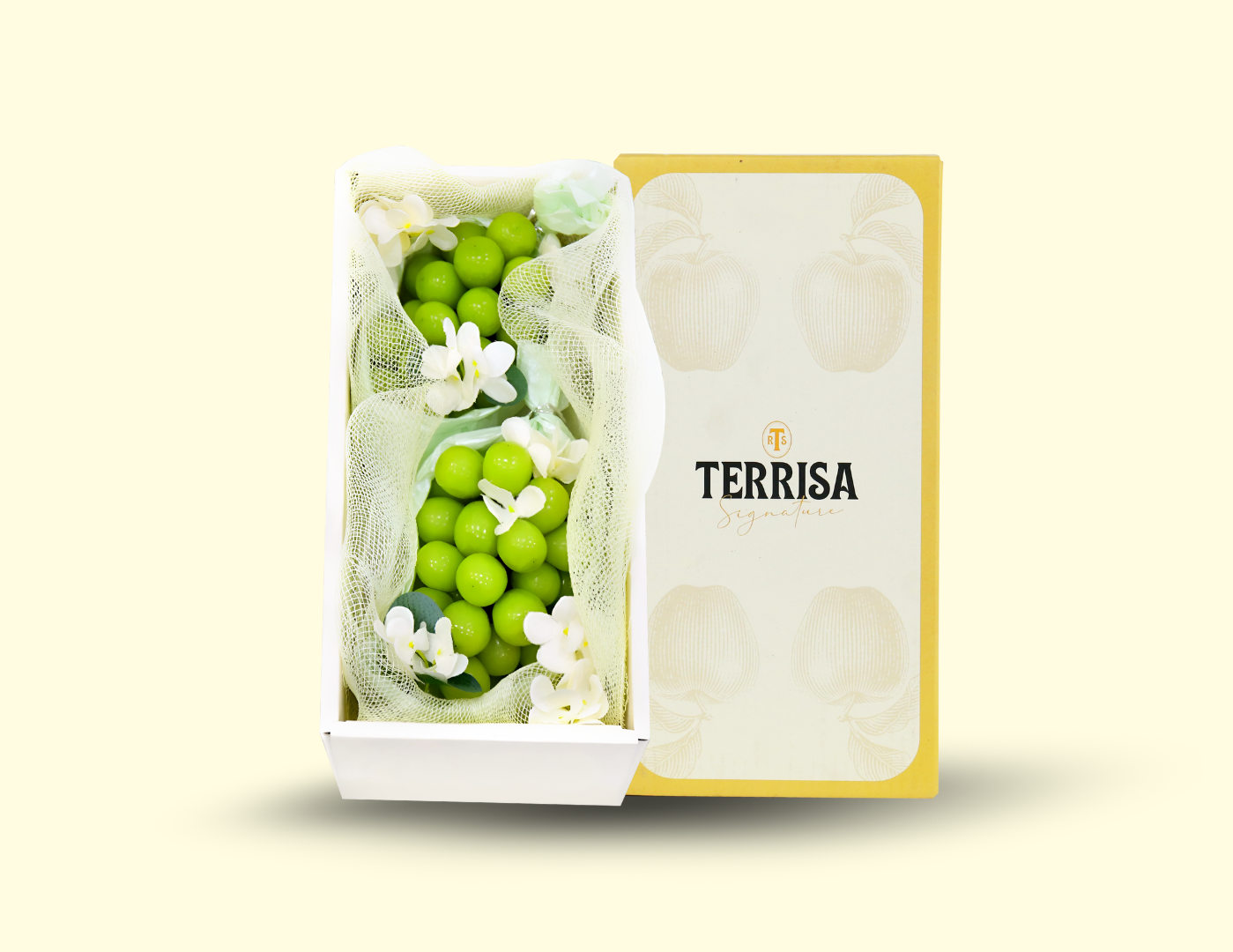 TERRISA Signature size S 