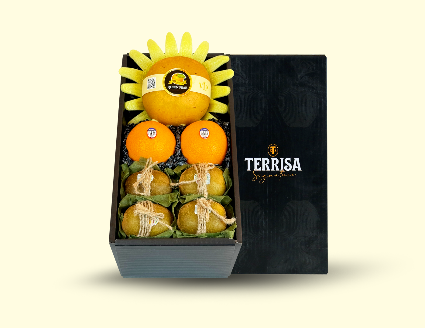 TERRISA Signature size S 