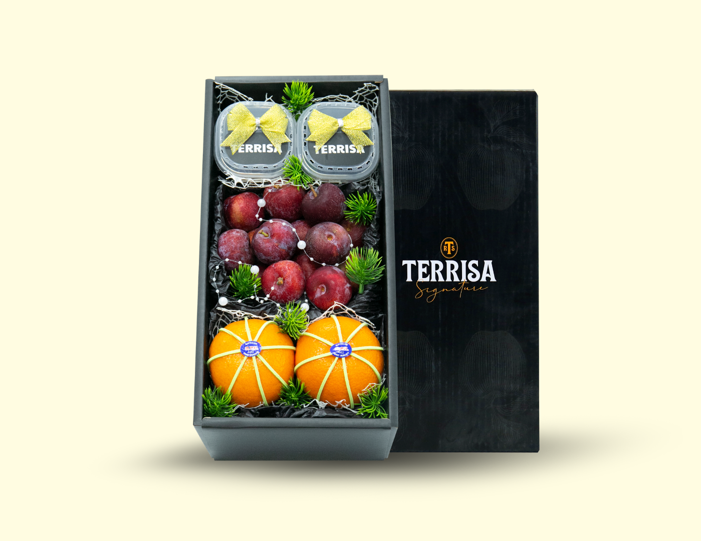 TERRISA Signature size S 