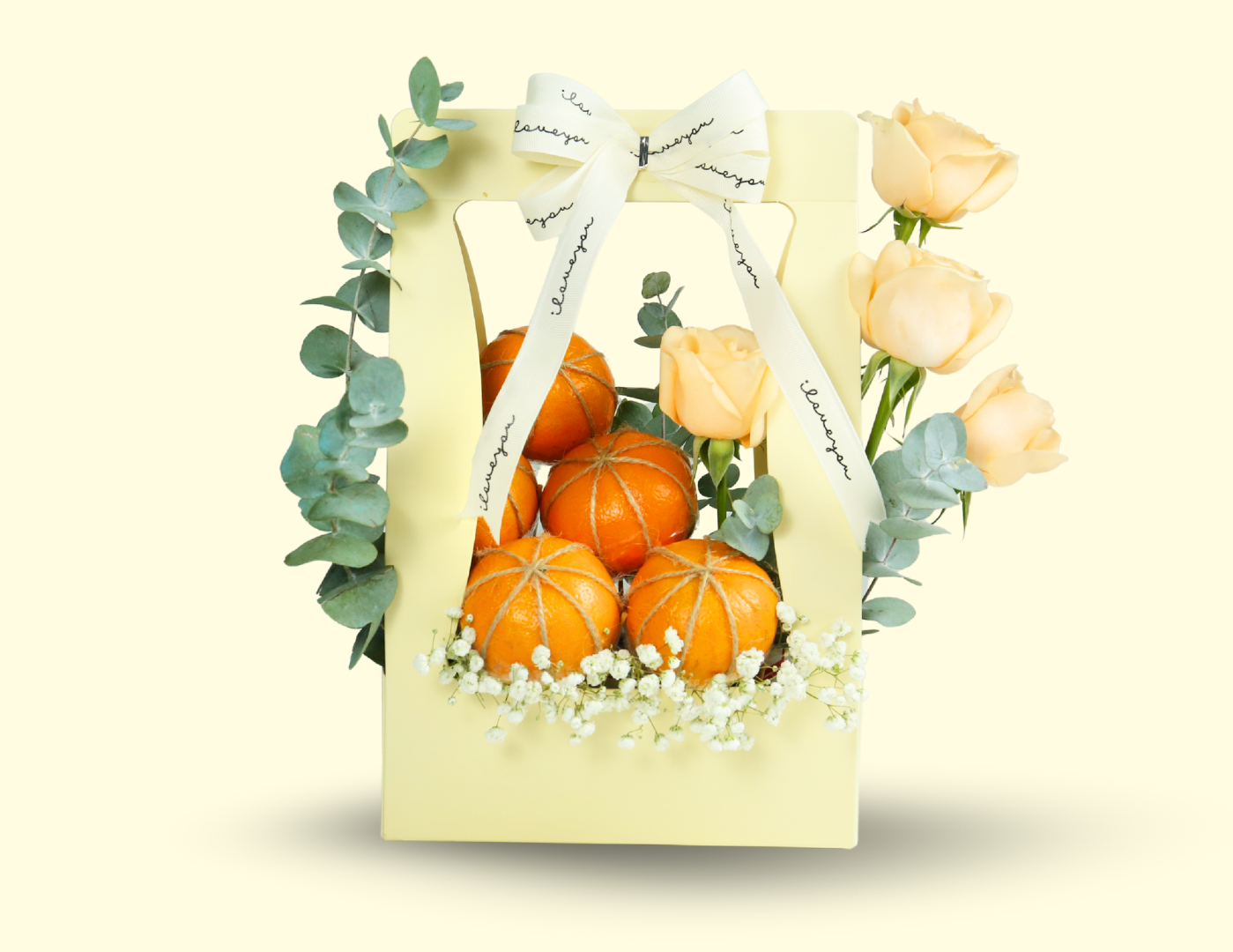 TERRISA Signature Gift Bag