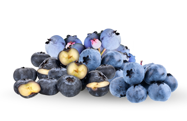 Blueberries