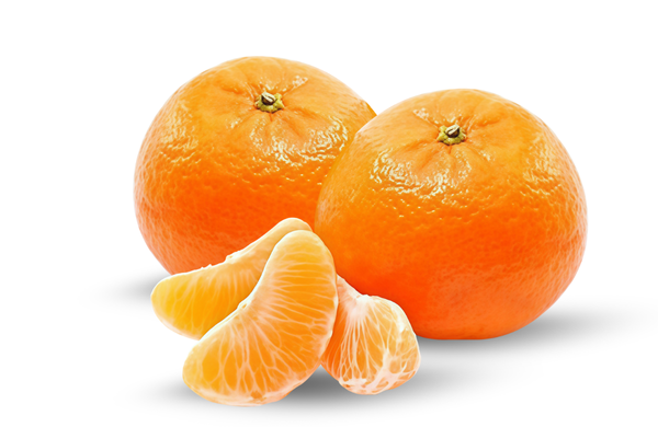 Honey Murcott Mandarin