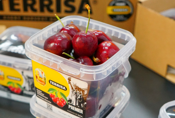 TERRISA Premier U.S.A. Cherries
