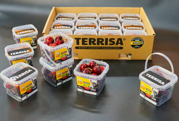TERRISA Premier U.S.A. Cherries