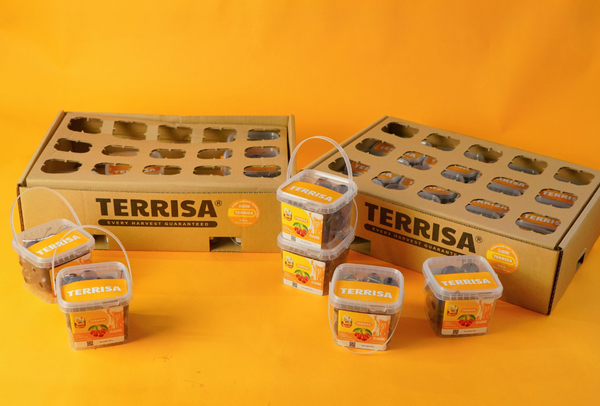 TERRISA Classic U.S.A. Cherries