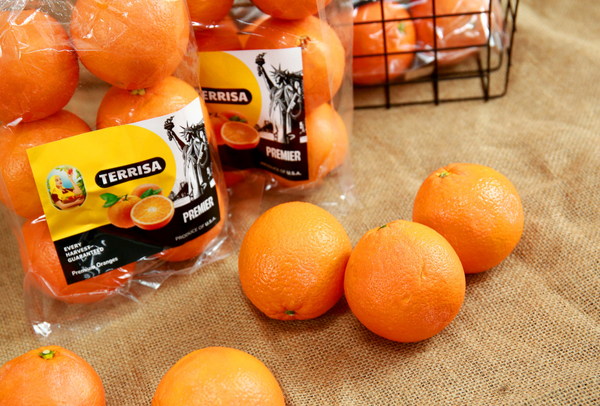TERRISA Premier U.S.A. Oranges