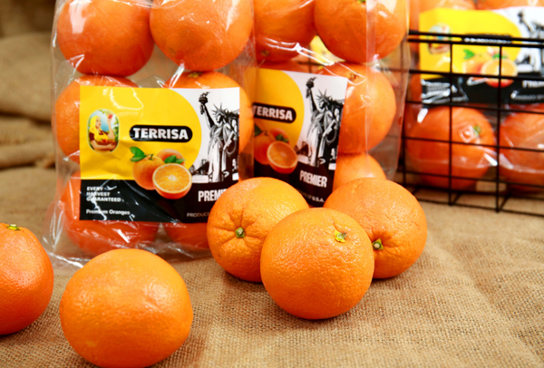 TERRISA Premier U.S.A. Oranges