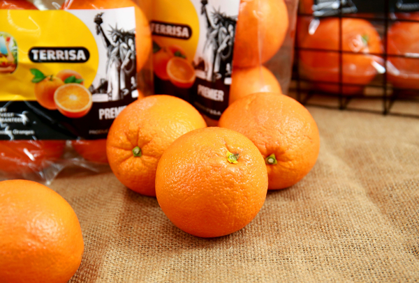TERRISA Premier U.S.A. Oranges