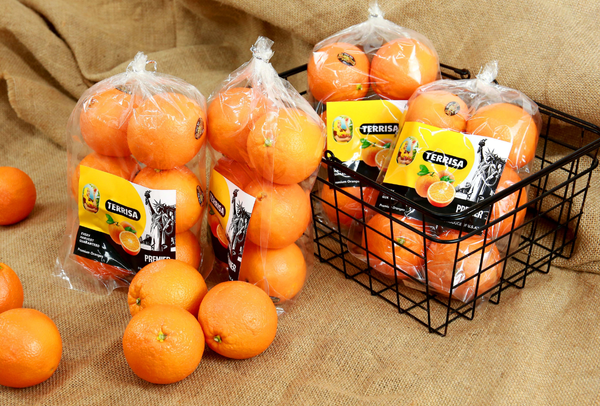 TERRISA Premier U.S.A. Oranges