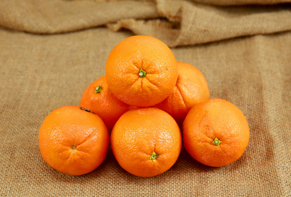 TERRISA Premier U.S.A. Oranges