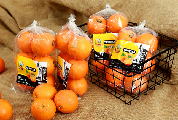 TERRISA Premier U.S.A. Oranges