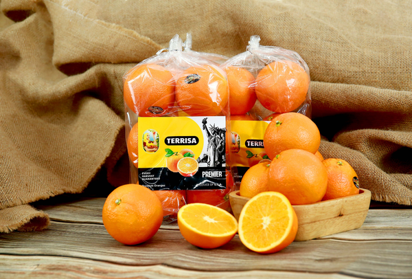 TERRISA Premier U.S.A. Oranges