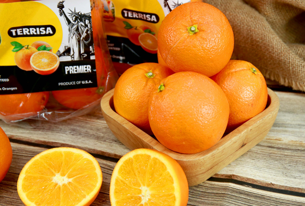 TERRISA Premier U.S.A. Oranges