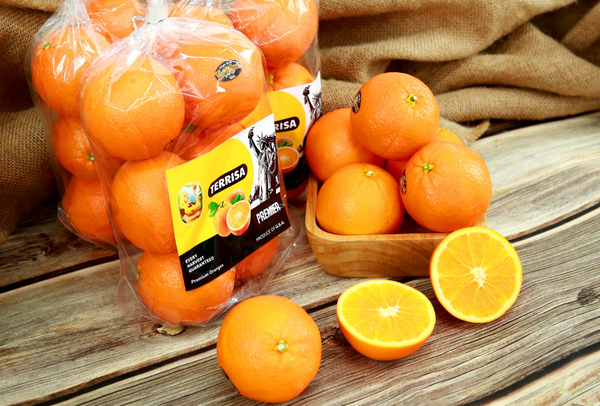 TERRISA Premier U.S.A. Oranges