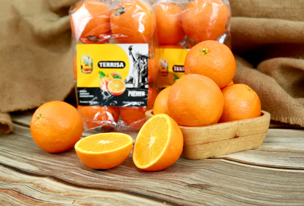 TERRISA Premier U.S.A. Oranges