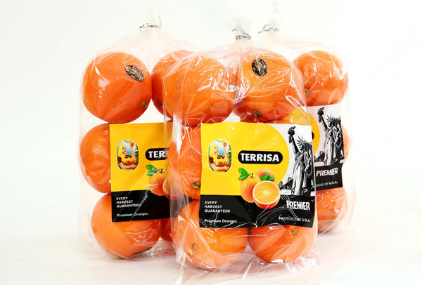 TERRISA Premier U.S.A. Oranges