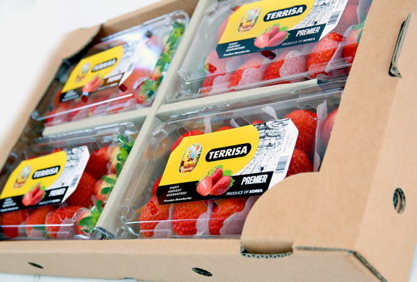 TERRISA Premier Korean Strawberries
