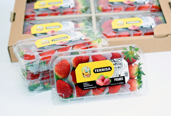 TERRISA Premier Korean Strawberries
