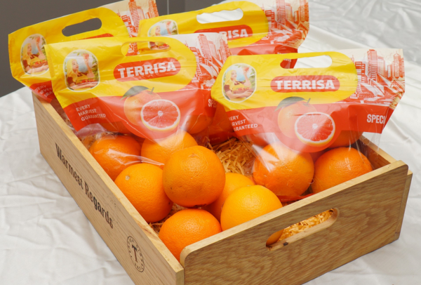 TERRISA Special Cara Cara Australian Oranges
