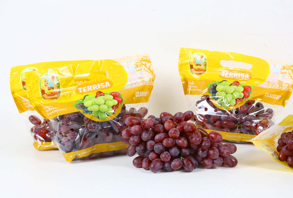 TERRISA Classic South African Red Grapes