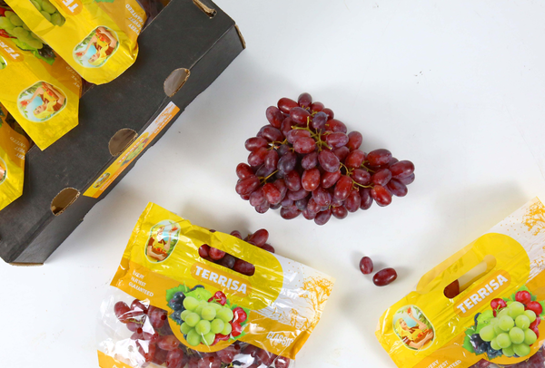 TERRISA Classic South African Red Grapes