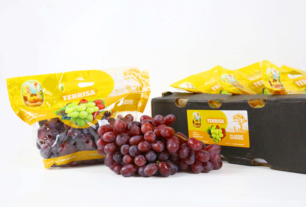 TERRISA Classic South African Red Grapes