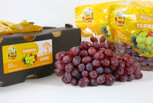 TERRISA Classic South African Red Grapes