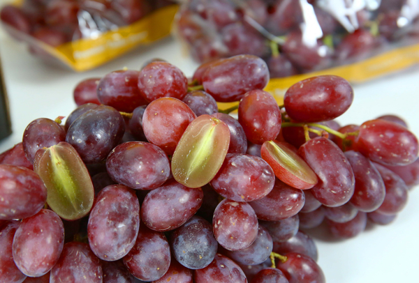TERRISA Classic South African Red Grapes