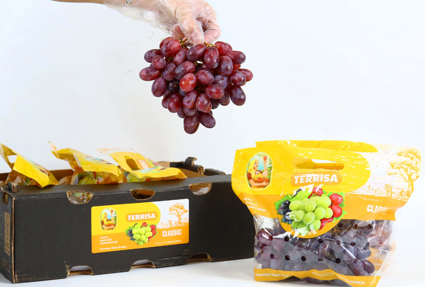 TERRISA Classic South African Red Grapes
