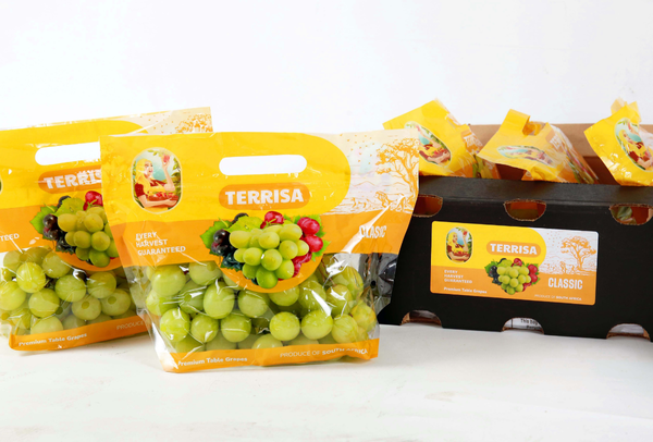 TERRISA Clasic South African Green Grapes