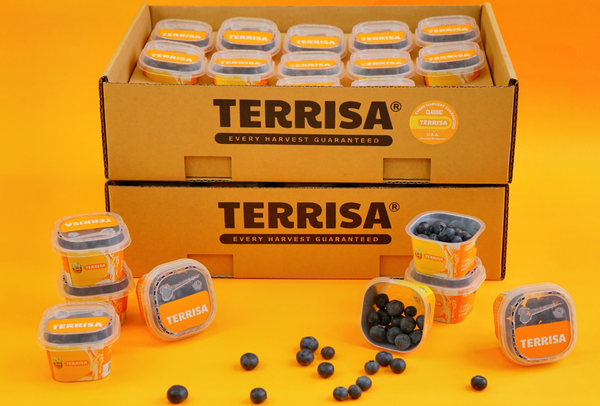 TERRISA Classic U.S.A. Blueberries