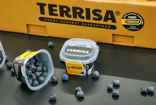 TERRISA Premier U.S.A. Blueberries
