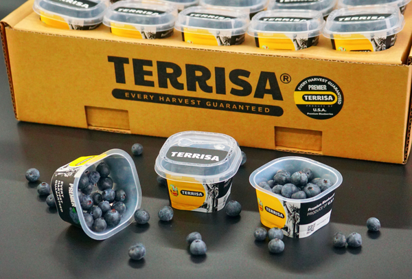 TERRISA Premier U.S.A. Blueberries