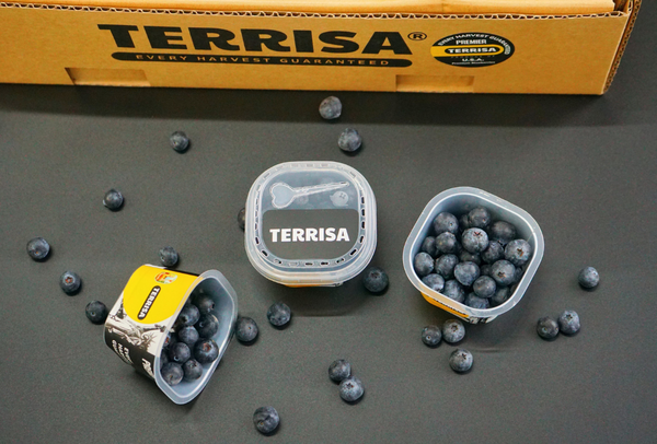 TERRISA Premier U.S.A. Blueberries