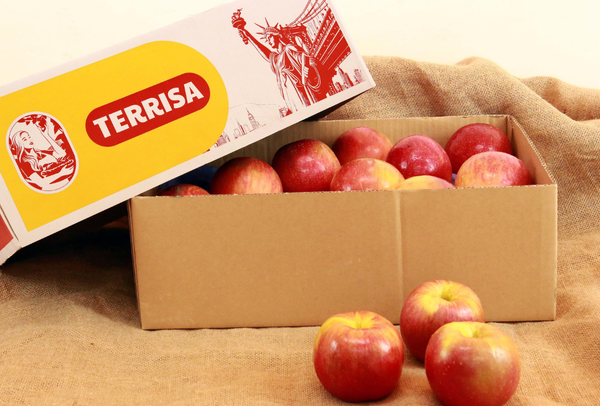 TERRISA Special EverCrisp U.S.A. Apples