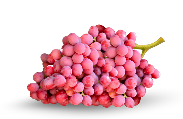 Allison Grape