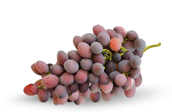 Bebop Grape