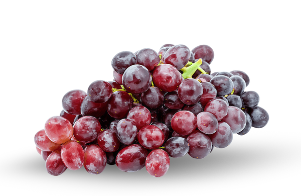 Candy Hearts Grape