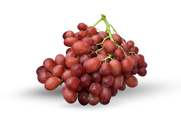 Cherry Crush Grape