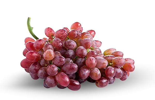 Crimson Grape