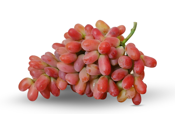 Long Crimson Grape