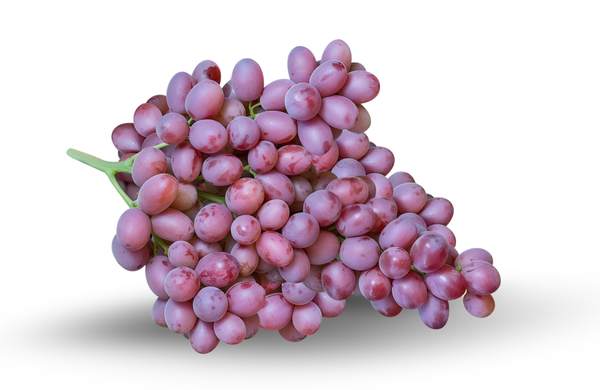 Scarlet Royal Grape