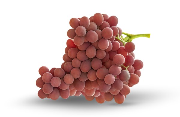 Sweet Nectar Grape