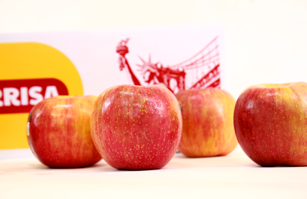 TERRISA Special EverCrisp U.S.A. Apples
