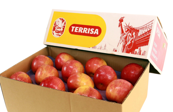 TERRISA Special EverCrisp U.S.A. Apples
