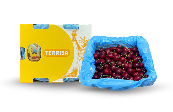 TERRISA Classic U.S.A. Cherries 2.5 kg