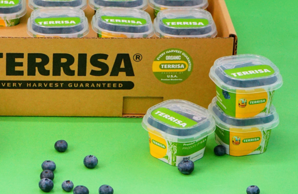 TERRISA Organic U.S.A. Blueberries